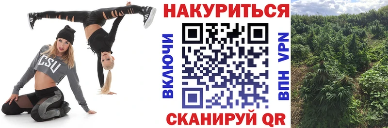Каннабис гибрид  blacksprut tor  Коркино  сколько стоит 